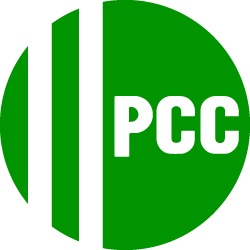 PROFESSIONAL CONTRACTING AND CONSULTING INC